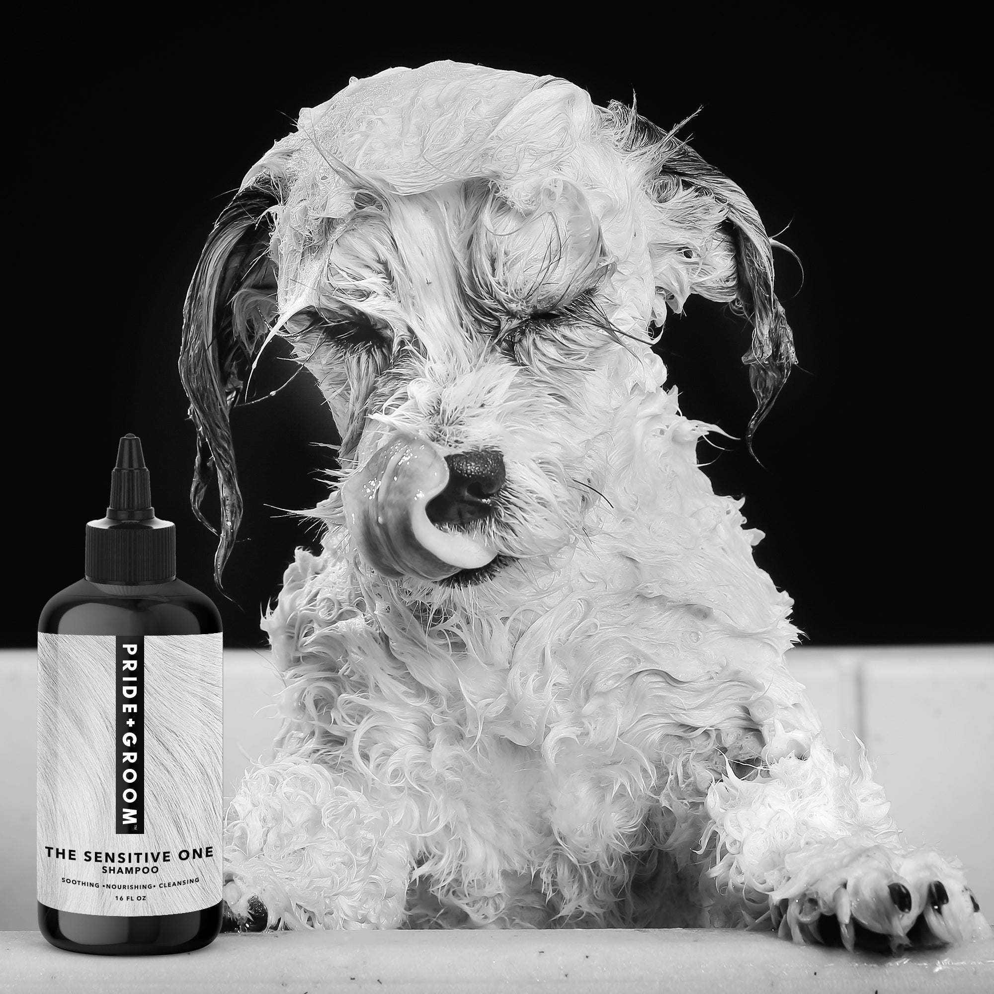 THE SENSITIVE ONE Hypoallergenic Dog & Puppy Shampoo — With Hemp Oil, Aloe & Oatmeal for Sensitive Skin - Coastal Paw & Co