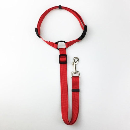 Secureflex Pet Safety Leash - Coastal Paw & Co