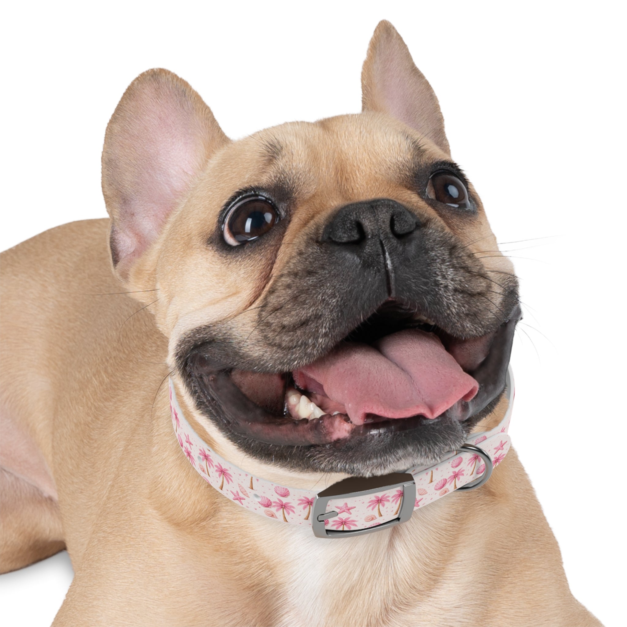 Pink Seashell Palm Tree Pattern Dog Collar | Beach Summer Print