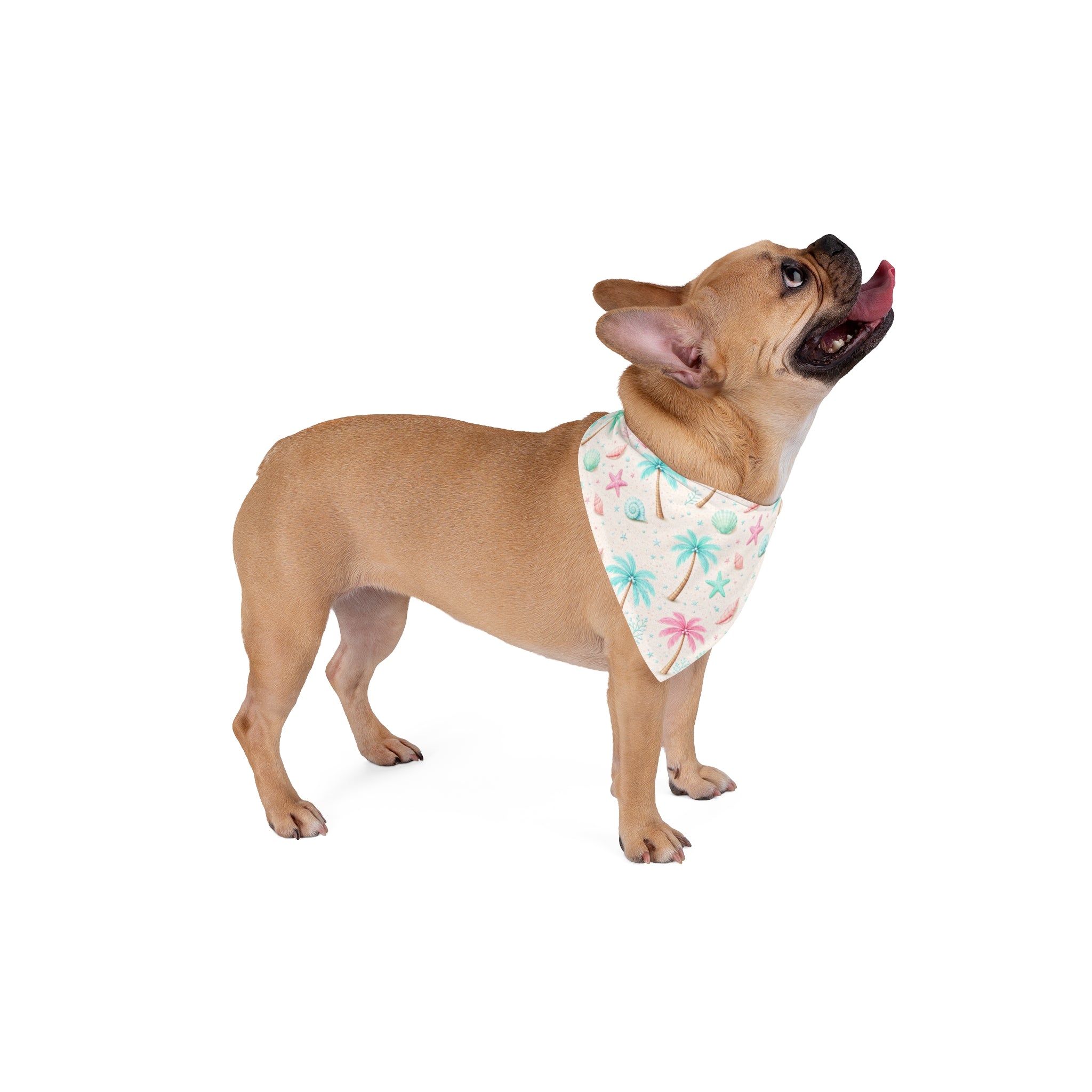 Pastel Beach, Palm Tree, Shells, Pet Bandana | Seashell Starfish Summer Bandana