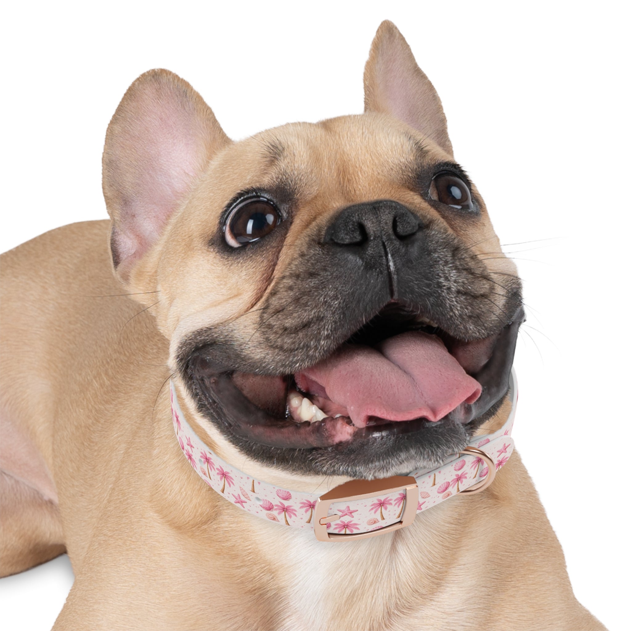 Pink Seashell Palm Tree Pattern Dog Collar | Beach Summer Print