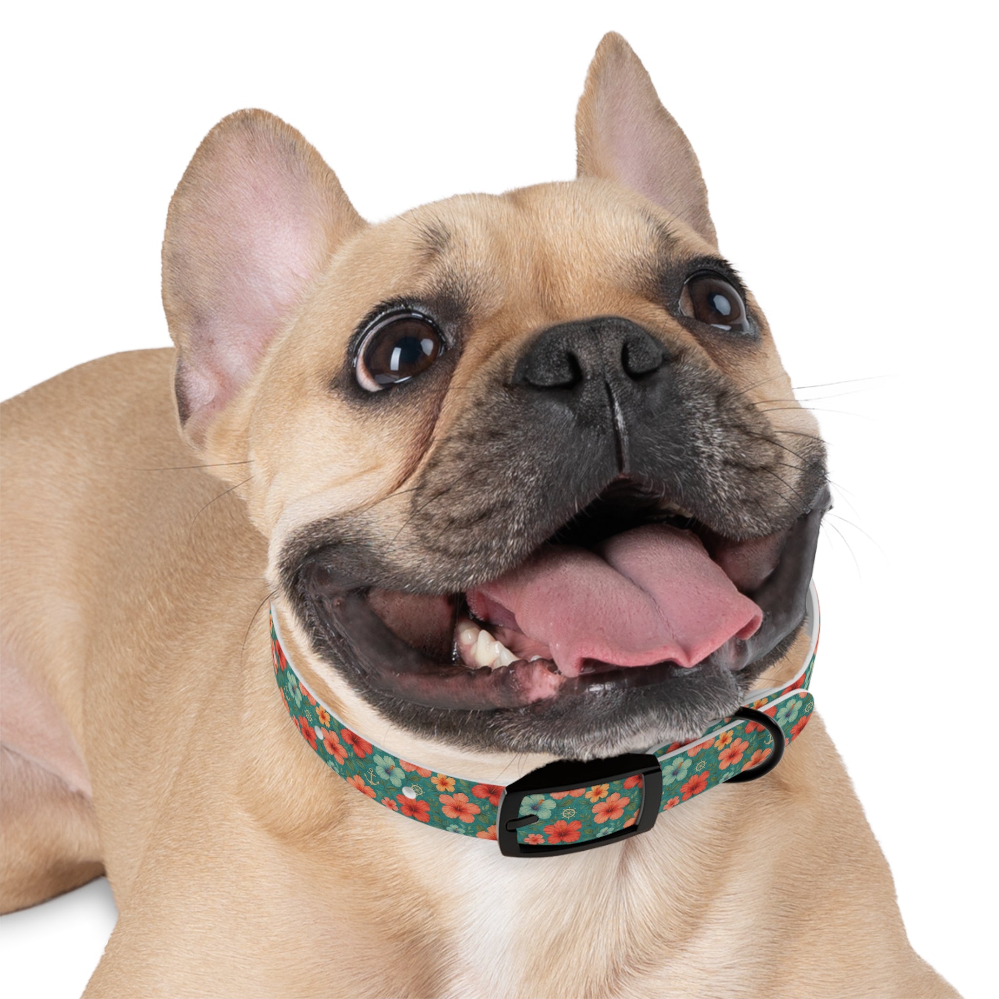 Tropical Hibiscus Pattern Dog Collar | Coral Floral on Teal