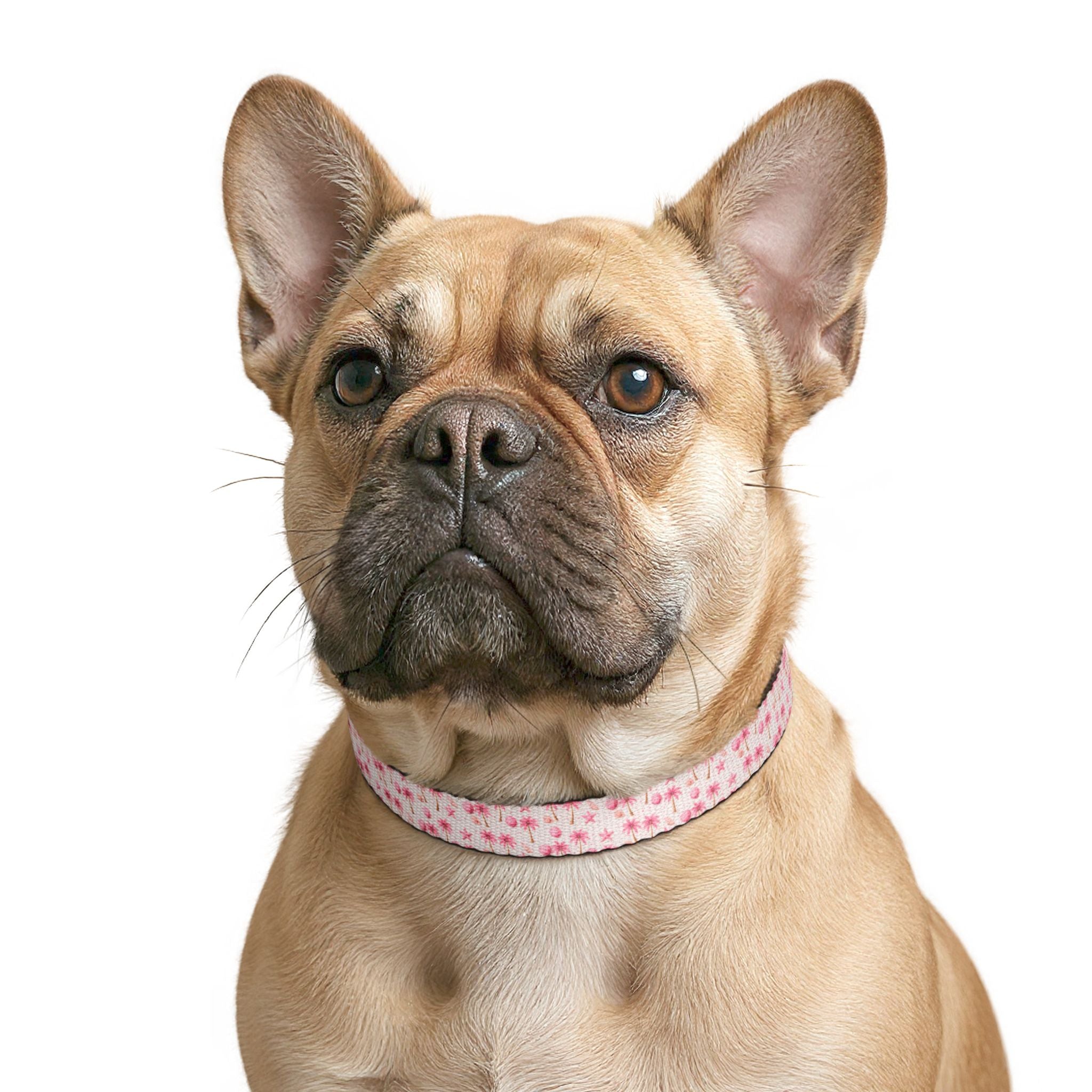 Pink Palm Tree Pattern Clip-on Collar | Pet Collar