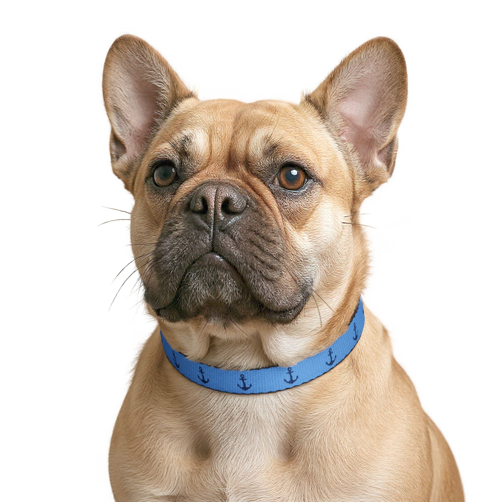 Nautical Anchor Pattern Clip-on Pet Collar | Blue Dog Collar