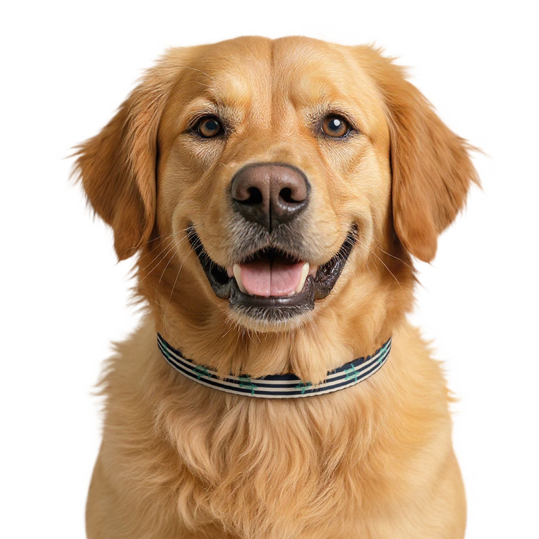 Navy Stripe Clip-on Pet Collar | Adjustable Dog Cat Collar
