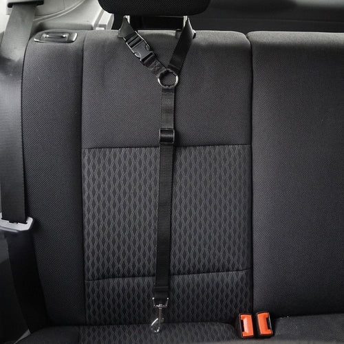 Secureflex Pet Safety Leash - Coastal Paw & Co