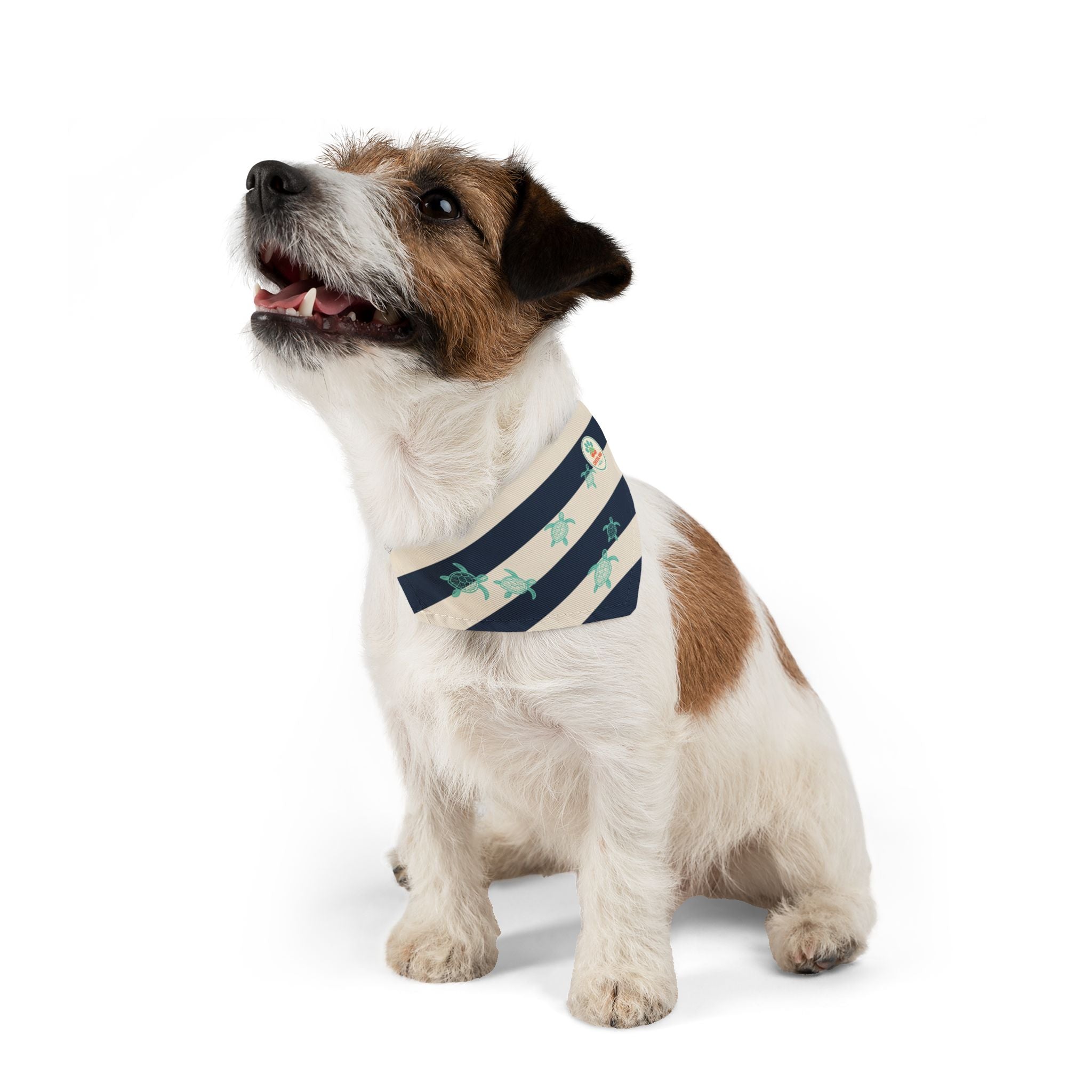 Sea Turtle Coastal Bandana Collar
