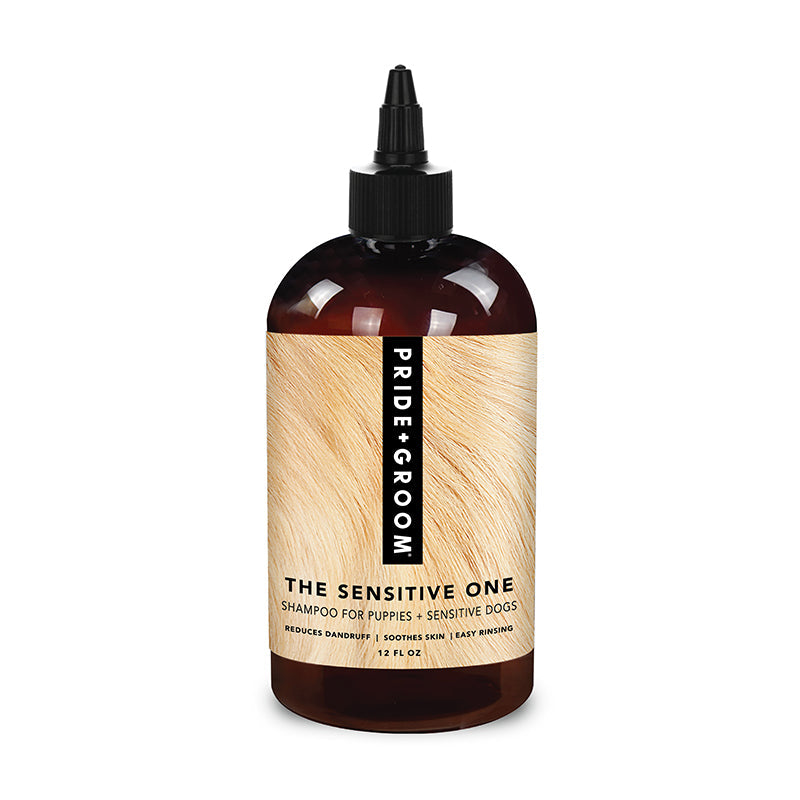 THE SENSITIVE ONE Hypoallergenic Dog & Puppy Shampoo — With Hemp Oil, Aloe & Oatmeal for Sensitive Skin - Coastal Paw & Co