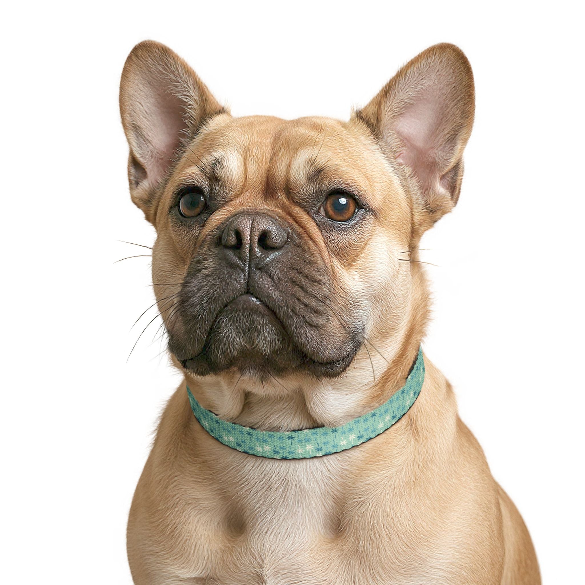 Teal Palm Tree Pattern Clip-on Collar | Teal Pet Collar, Adjustable Dog Cat Collar
