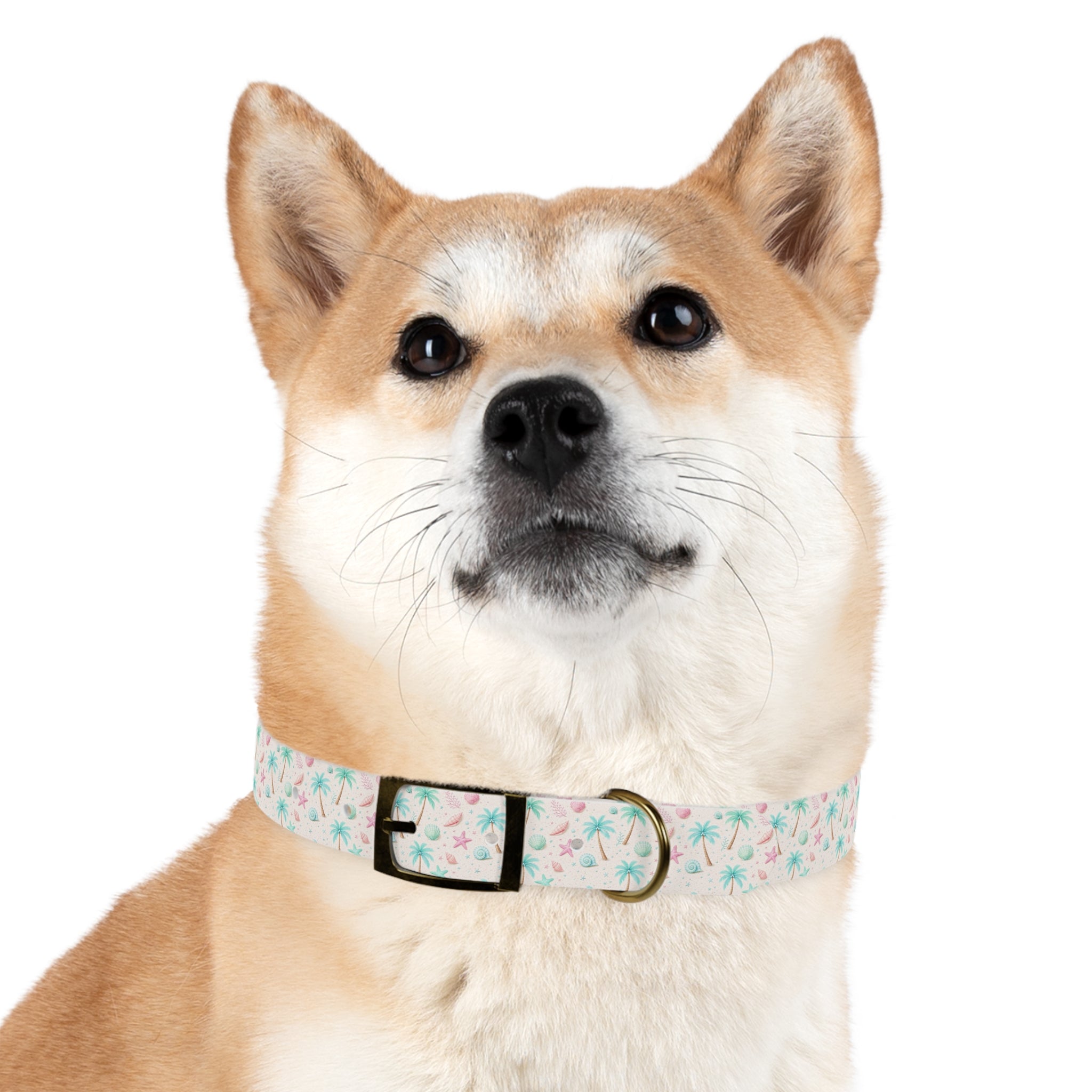 Tropical Palm Tree and Starfish Dog Collar | Pastel Beach Pattern