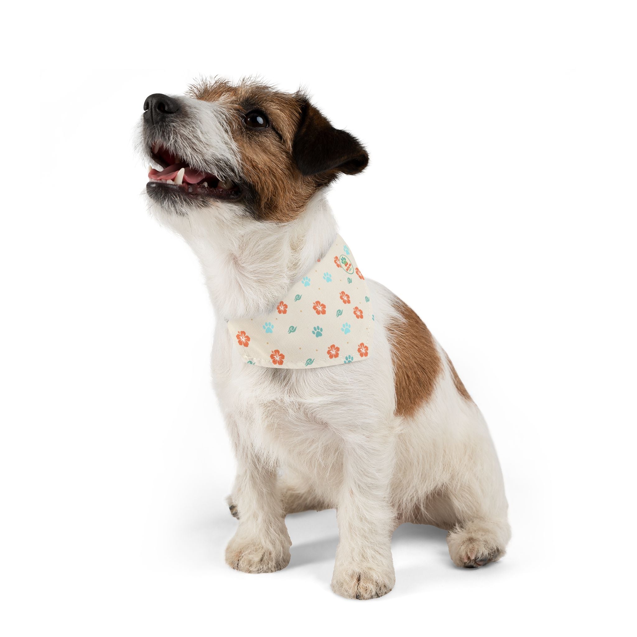 Coastal Paw Logo Pet Bandana Collar | Floral Paw Prints, Beach Theme