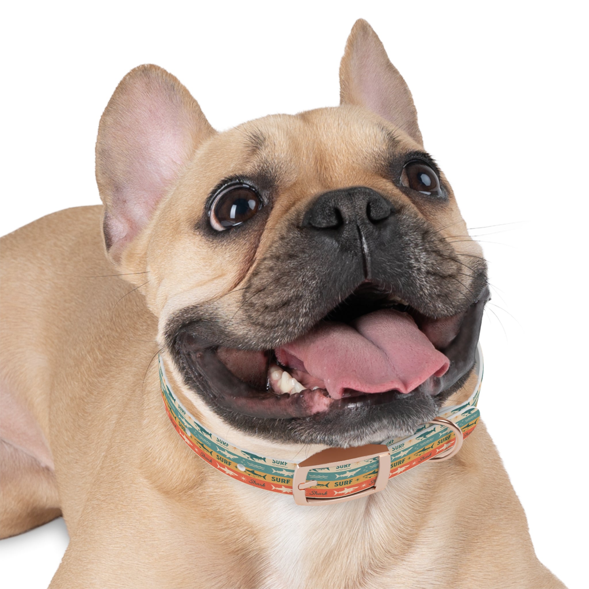 Retro Surf Sharks Dog Collar | Striped Beach Waves Pattern