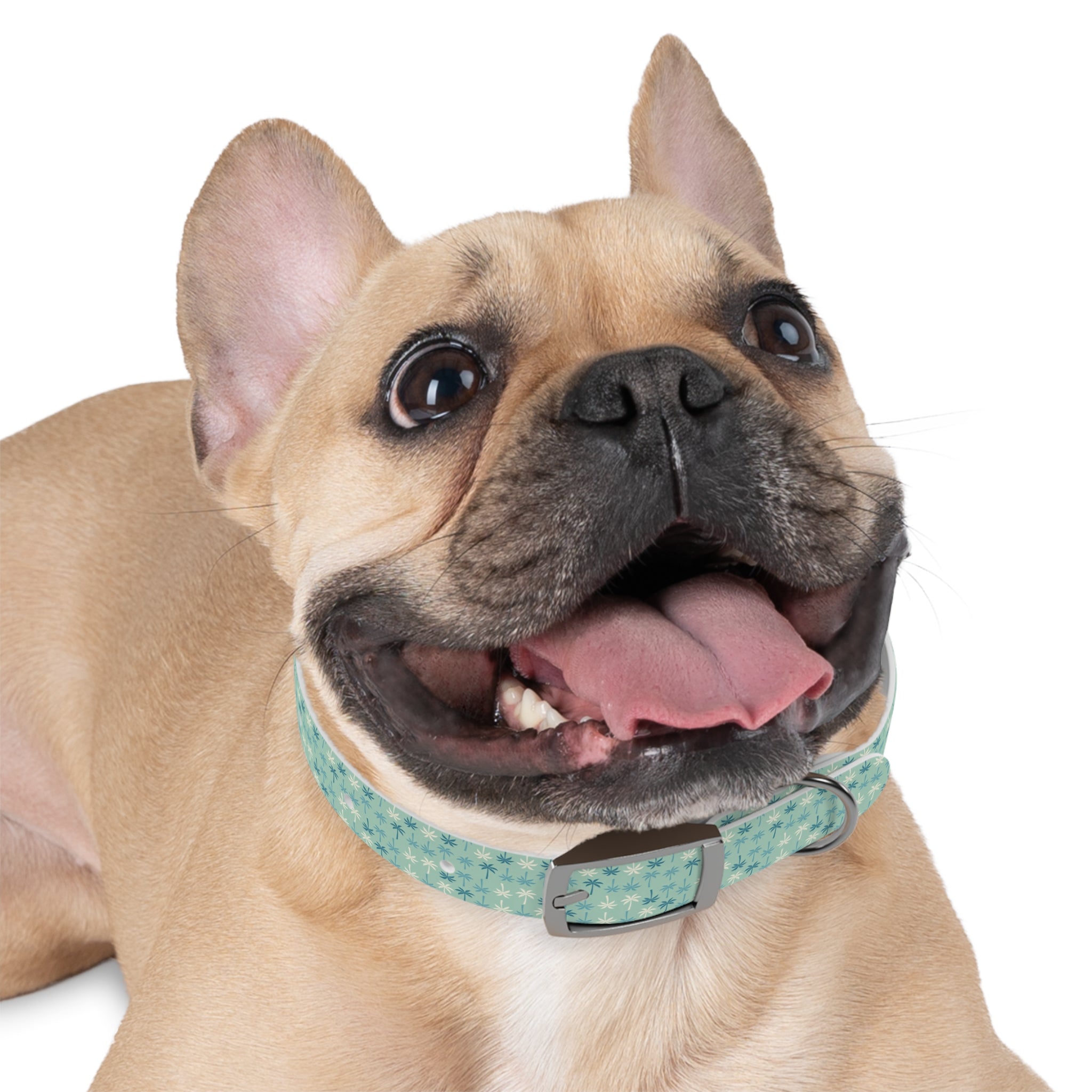 Teal Palm Trees Dog Collar | Tropical Pattern, Teal Palm Print