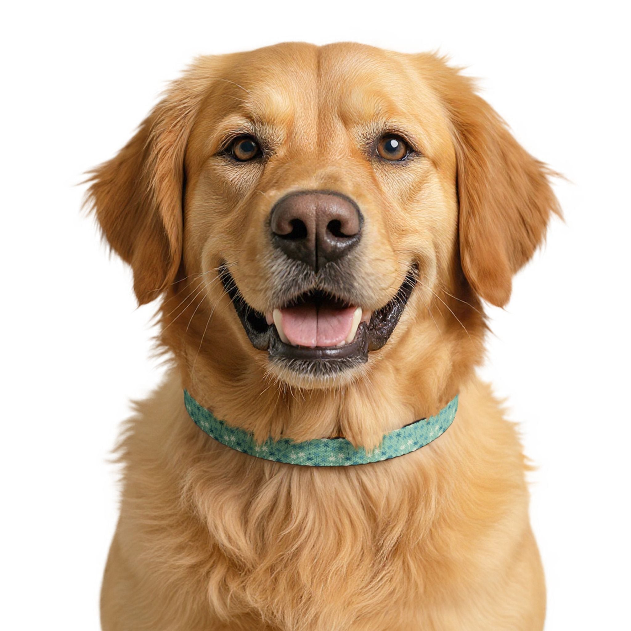 Teal Palm Tree Pattern Clip-on Collar | Teal Pet Collar, Adjustable Dog Cat Collar