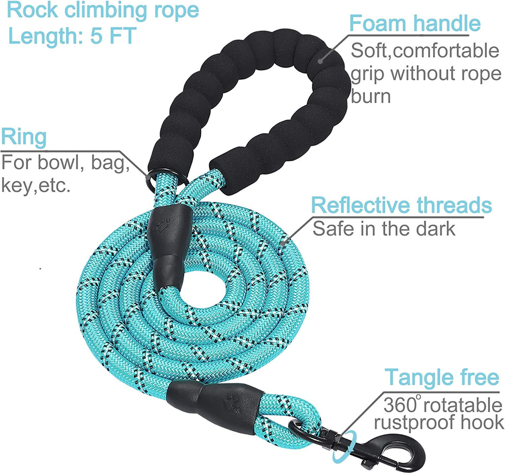 Martingale Dog Collar and Leash Set, turquoise