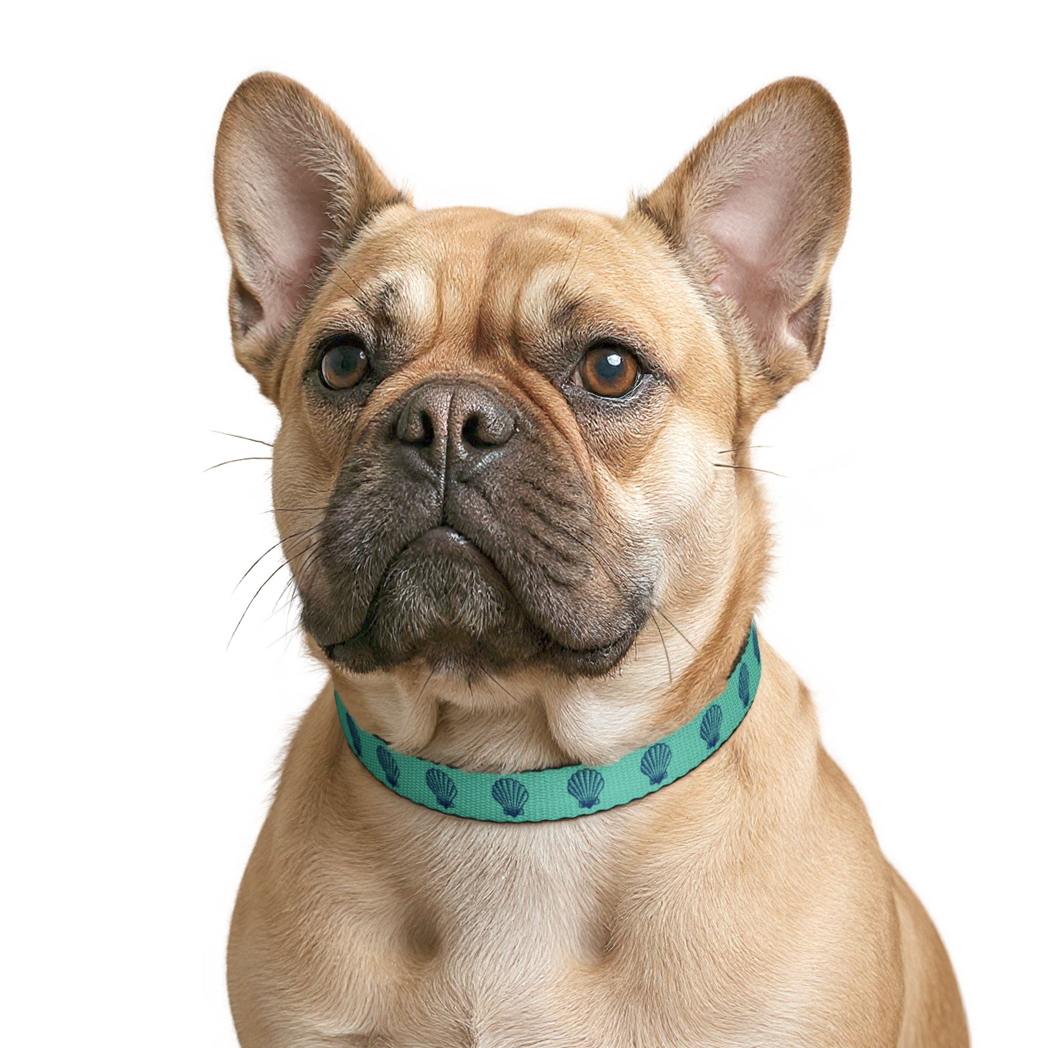 Teal Seashell Pattern Clip-on Pet Collar | Nautical Shell Design, Adjustable
