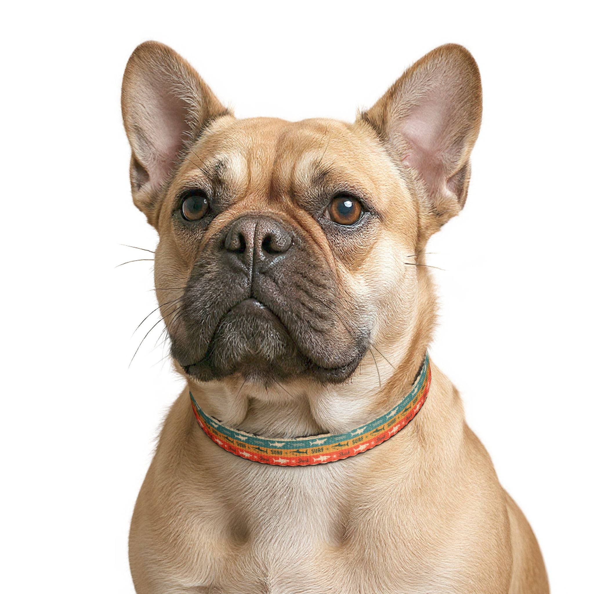 Retro Surf Shark Clip-on Pet Collar