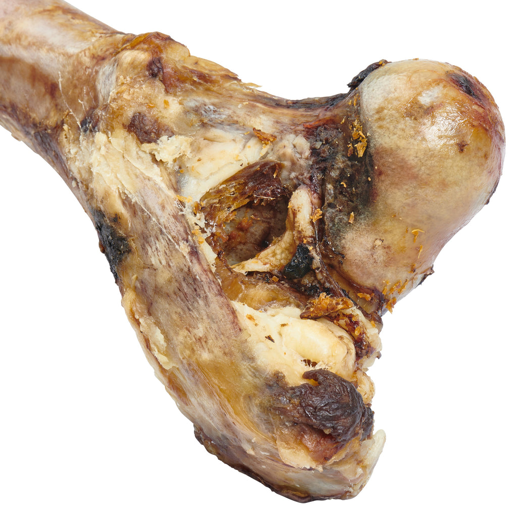Giant Dog Bone - Grass-Fed Beef Femur Bone for Large Dogs - Coastal Paw & Co