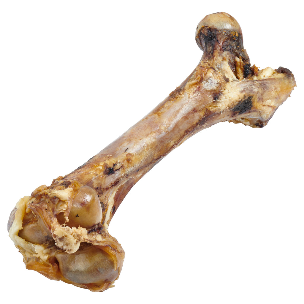 Giant Dog Bone - Grass-Fed Beef Femur Bone for Large Dogs - Coastal Paw & Co