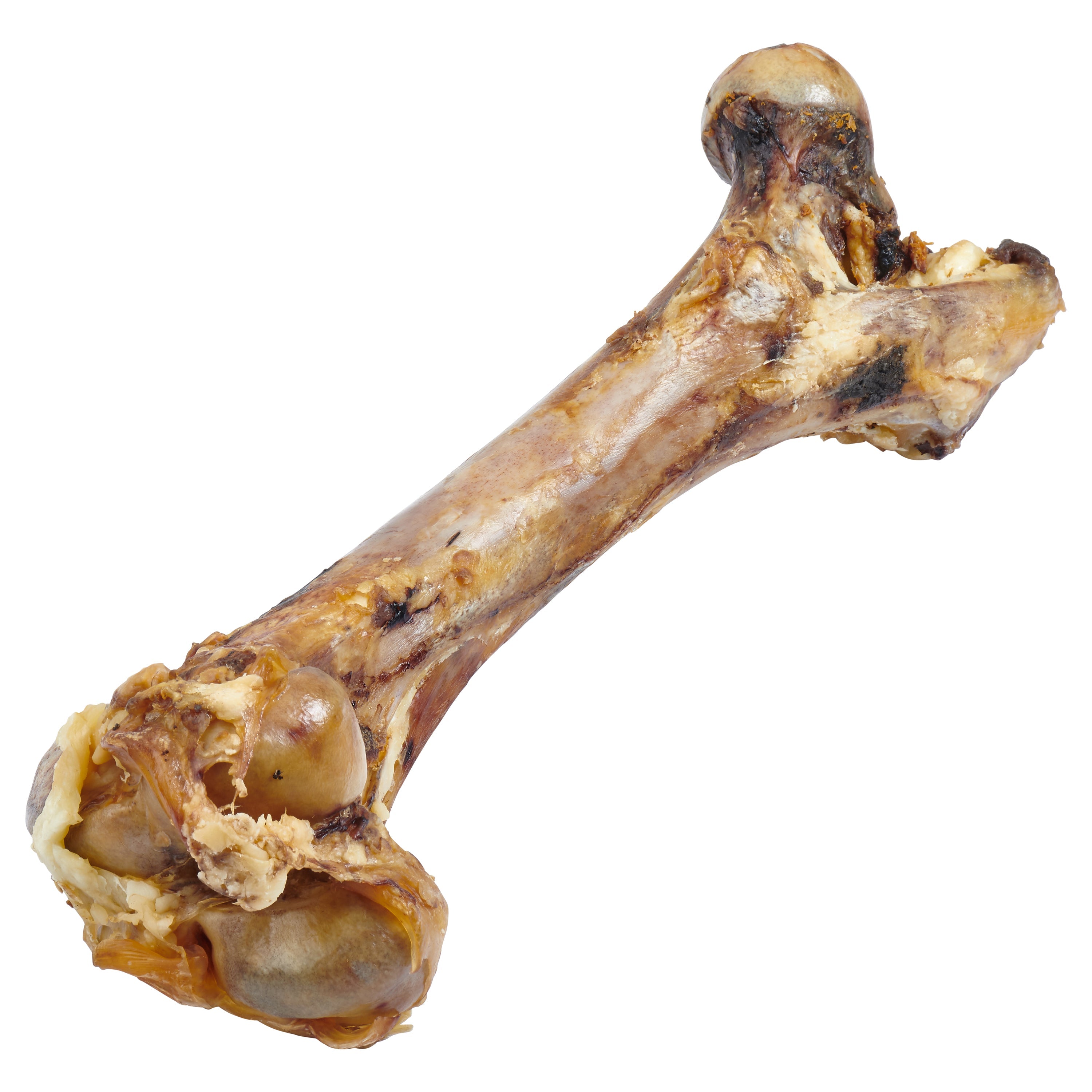 Giant Dog Bone - Grass-Fed Beef Femur Bone for Large Dogs - Coastal Paw & Co