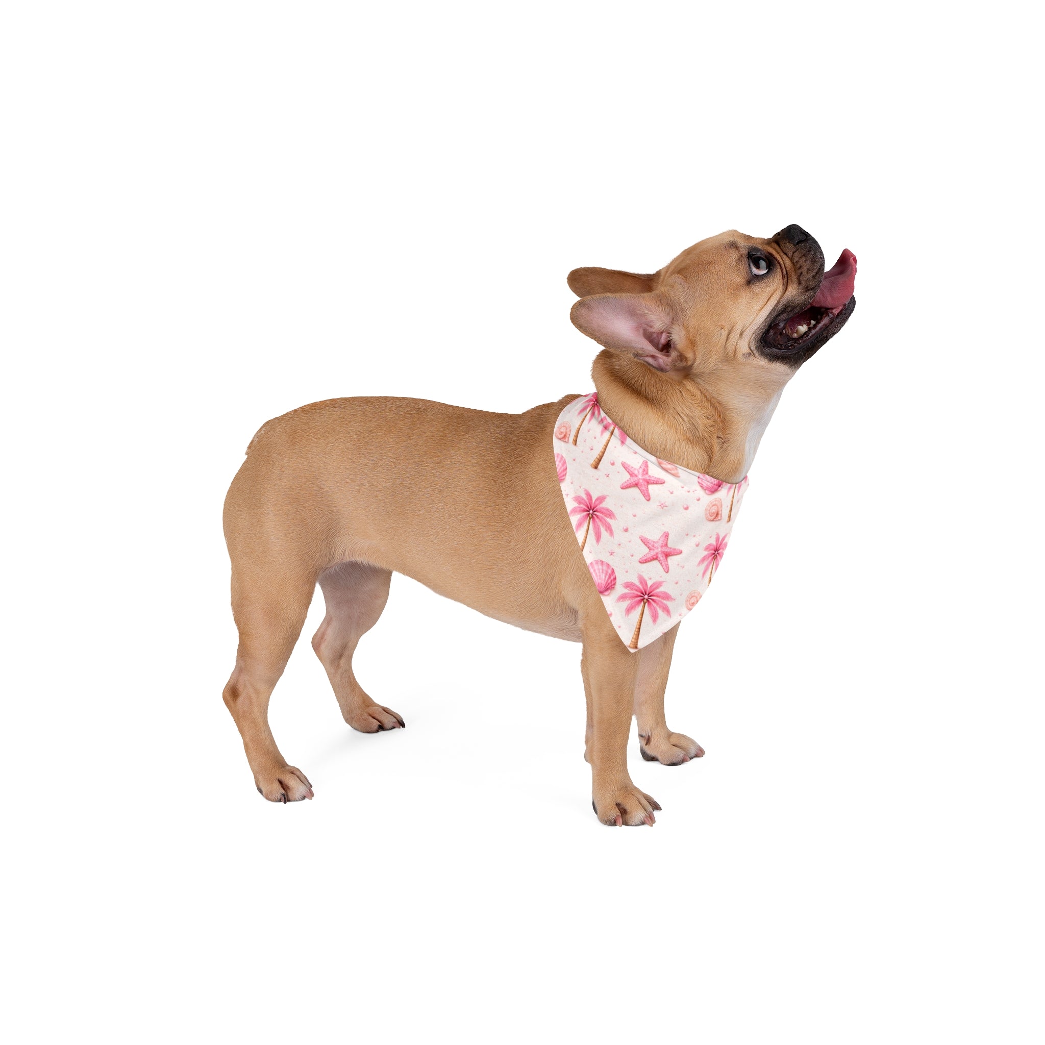 Pink Palm Trees & Seashells Pet Bandana | Beach Starfish Pattern