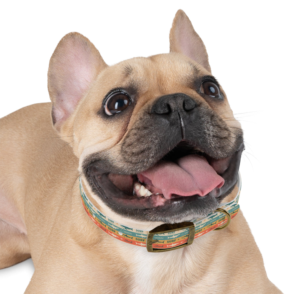 Retro Surf Sharks Dog Collar | Striped Beach Waves Pattern