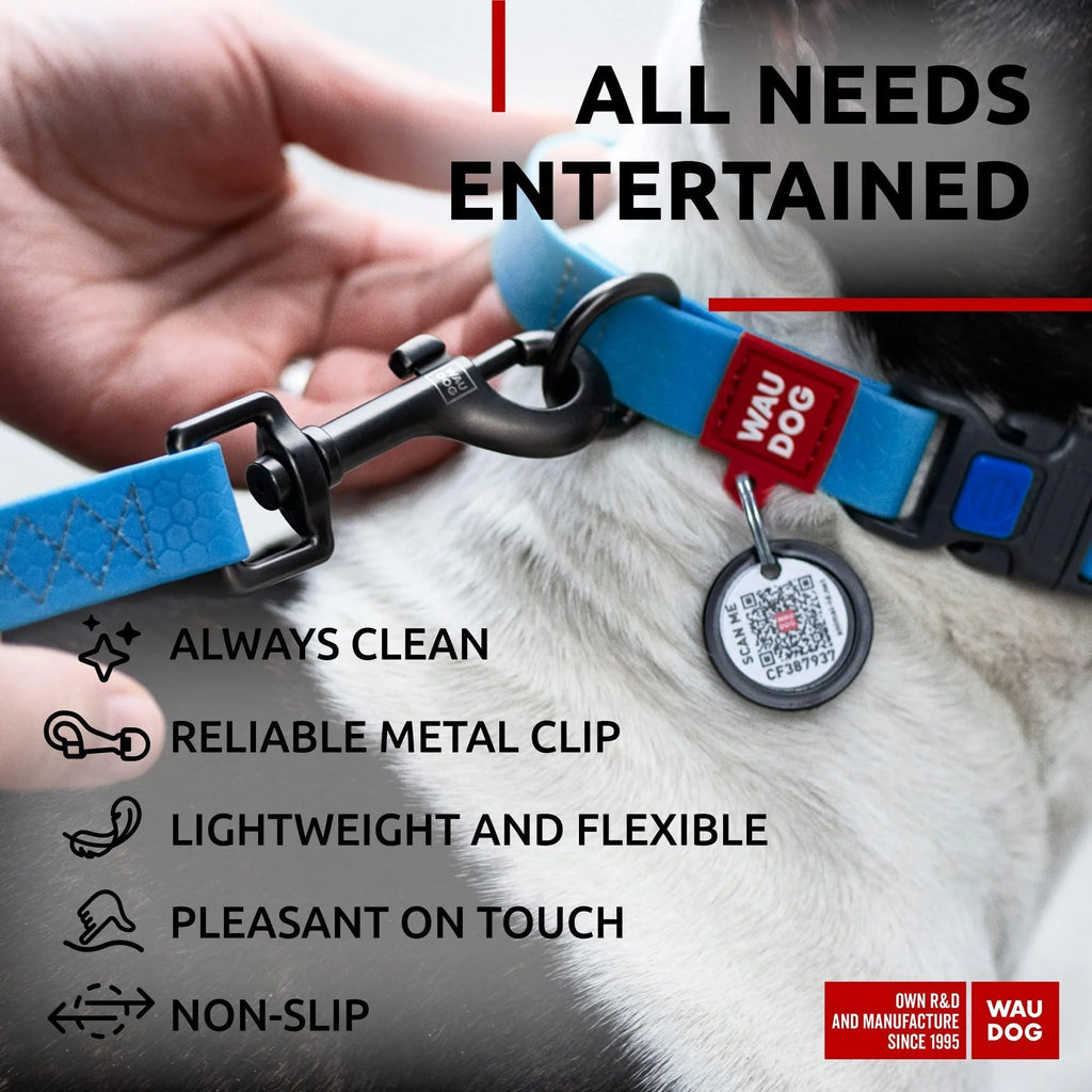 Waterproof Dog Leash 4 Ft X 1 Inch Blue anti Slip Dog Leash 