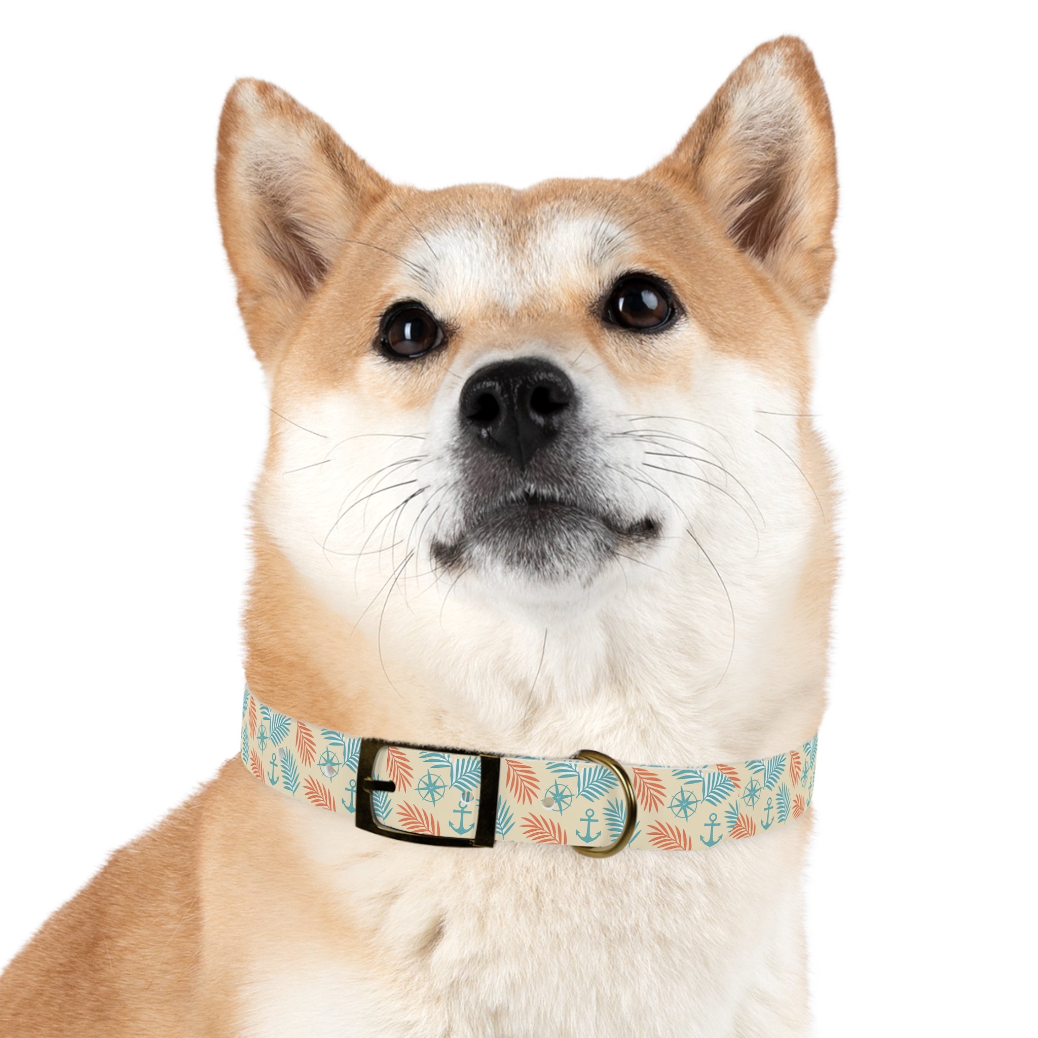 Coastal Breeze Waterproof Dog Collar