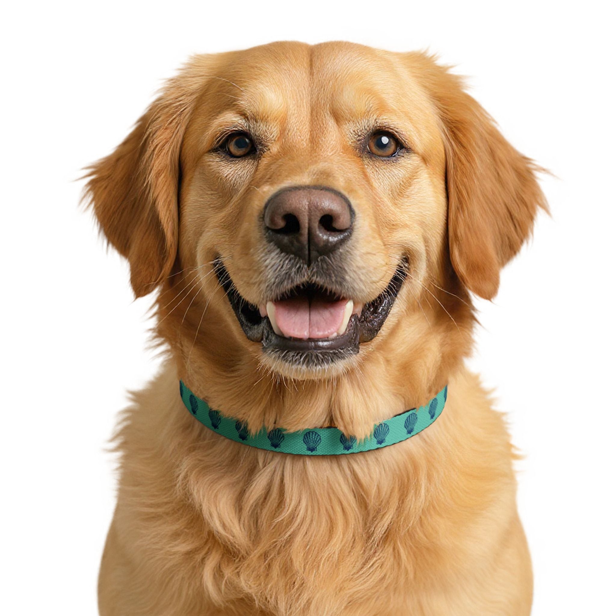 Teal Seashell Pattern Clip-on Pet Collar | Nautical Shell Design, Adjustable