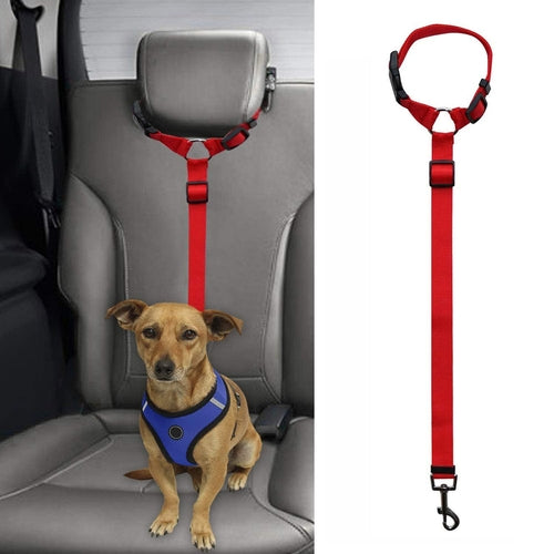 Secureflex Pet Safety Leash - Coastal Paw & Co