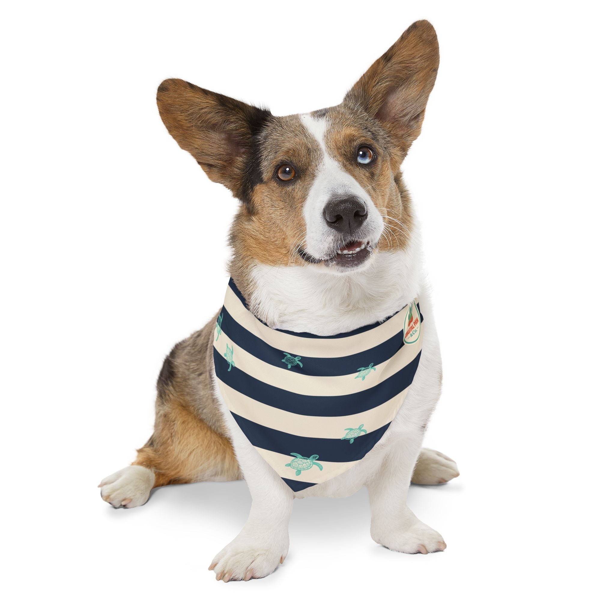 Sea Turtle Coastal Bandana Collar