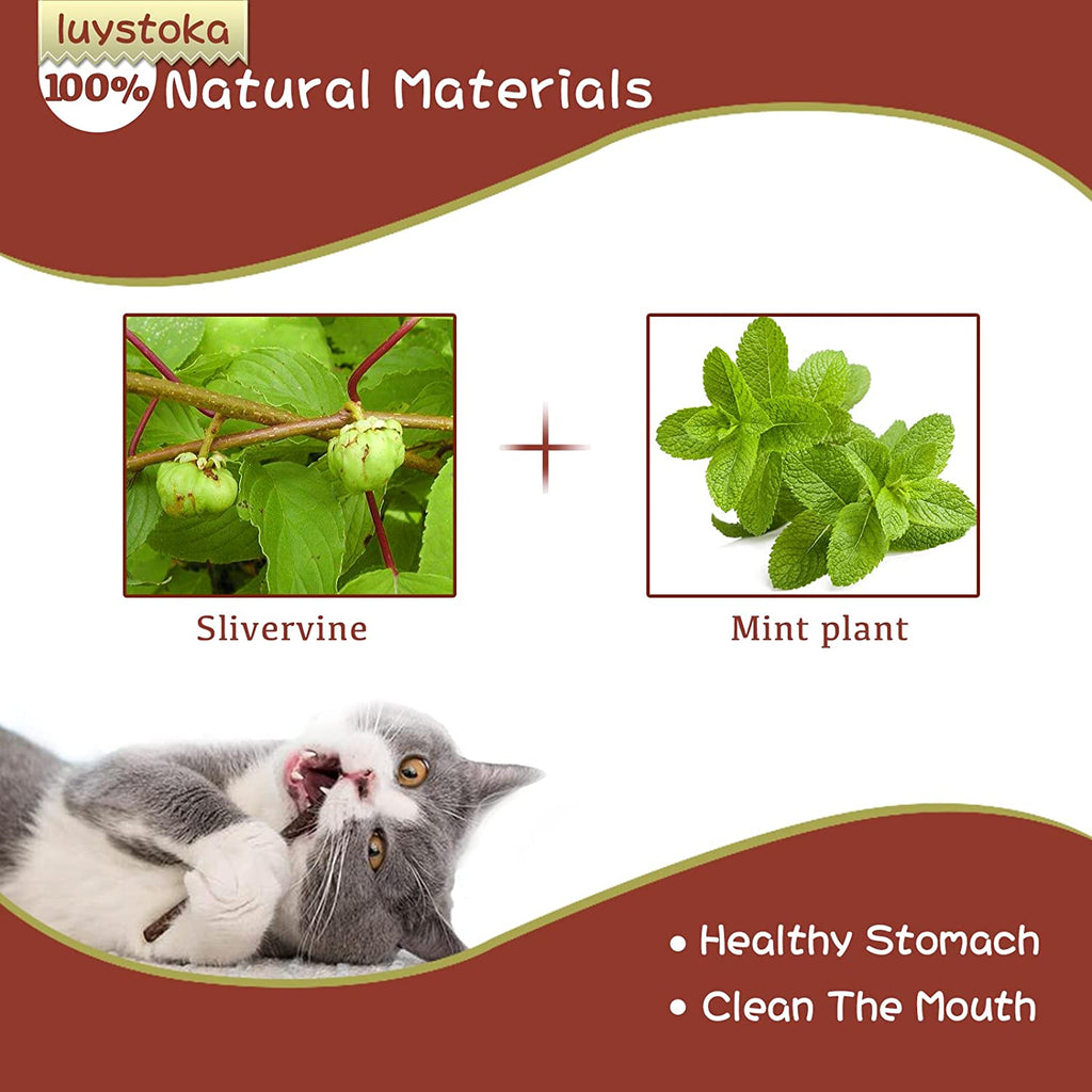 Cat Toys - Silvervine & Matatabi Catnip Toys, 10PCS Indoor Kitty Chew Sticks & Wand Toys for Bored Cats