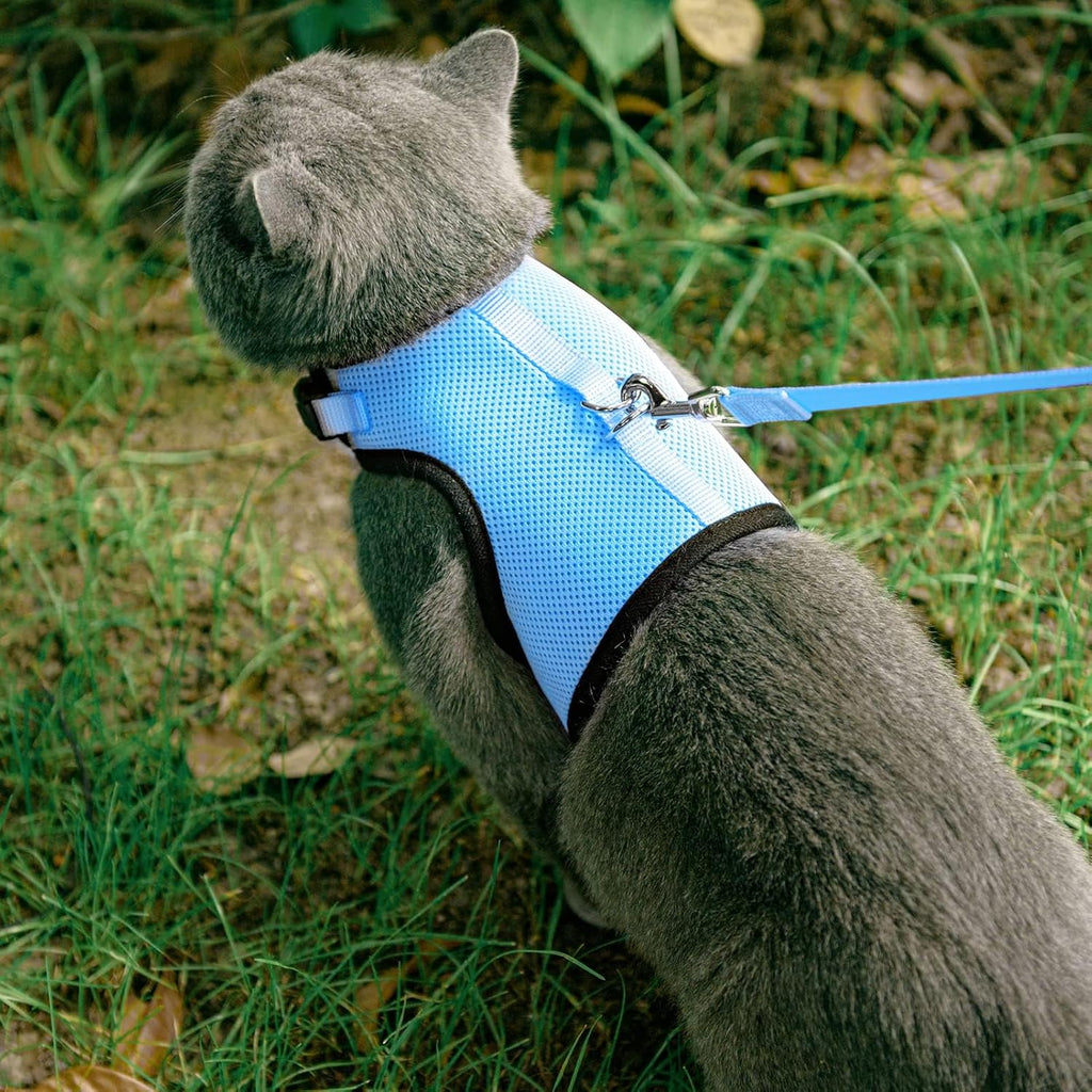 Soft Mesh Cat Vest Harness and Leash Set Puppy Padded Pet Harnesses Escape Proof for Cats Small Dogs, Blue Small