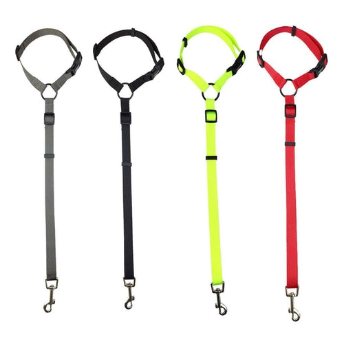 Secureflex Pet Safety Leash - Coastal Paw & Co