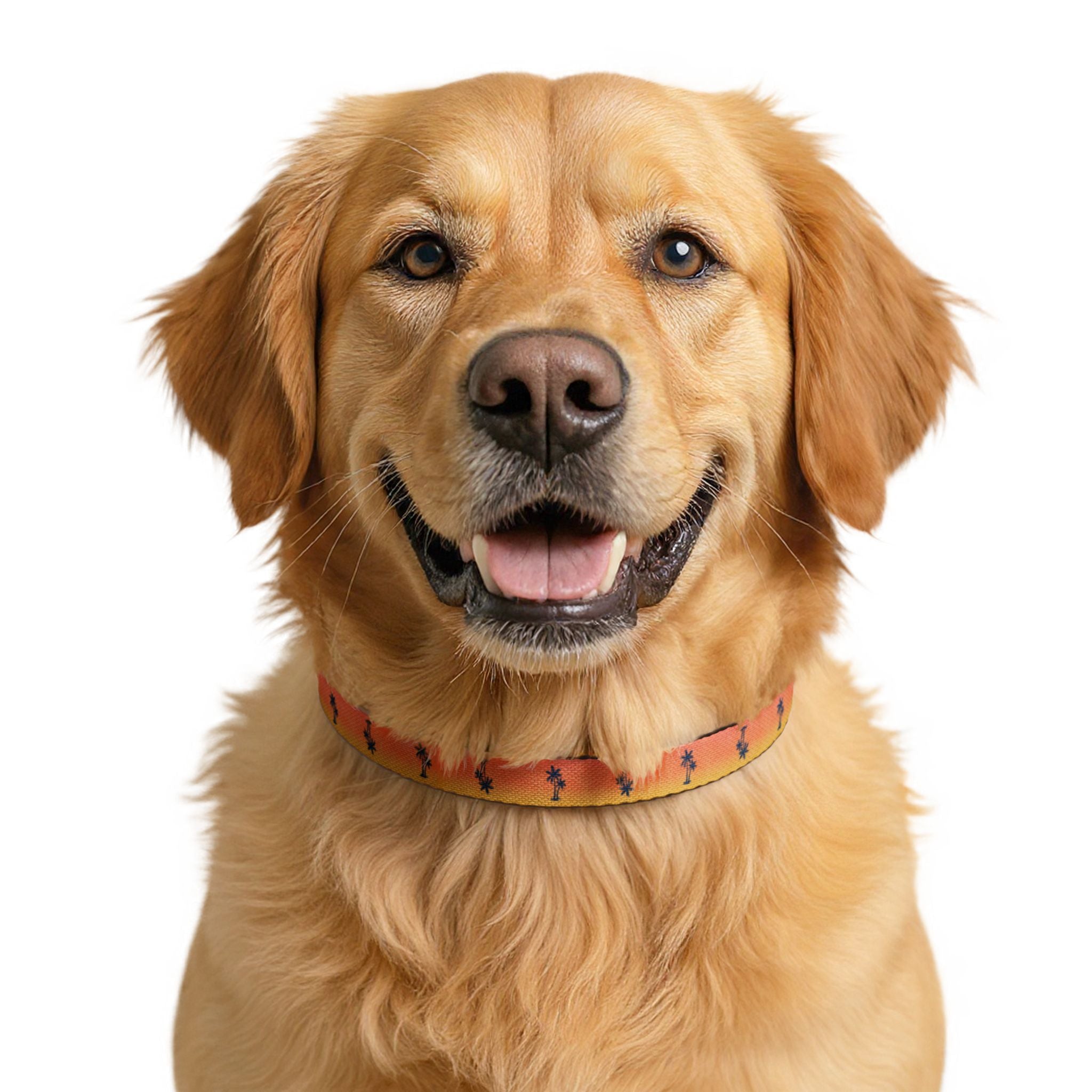 Sunset Palm Pattern Clip-on Pet Collar | Tropical Orange Gradient