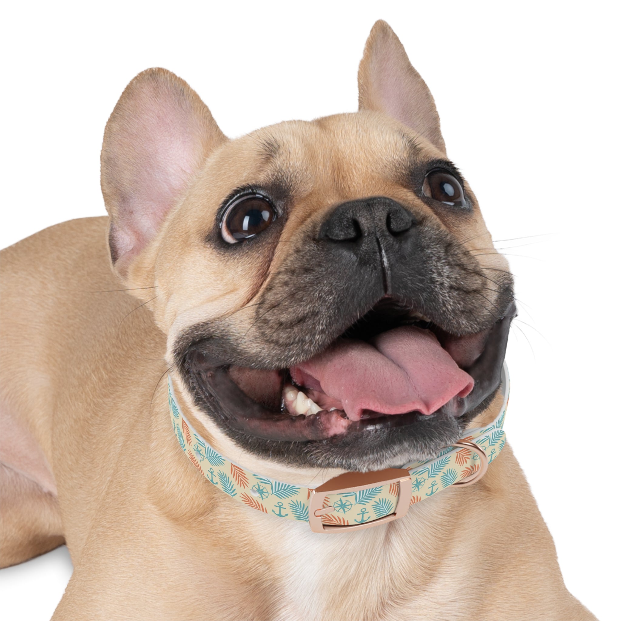 Coastal Breeze Waterproof Dog Collar