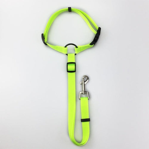 Secureflex Pet Safety Leash - Coastal Paw & Co