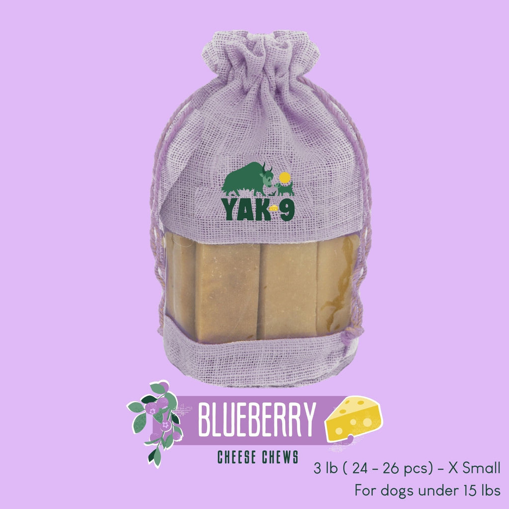Blueberry Cheese Chews for Dogs
