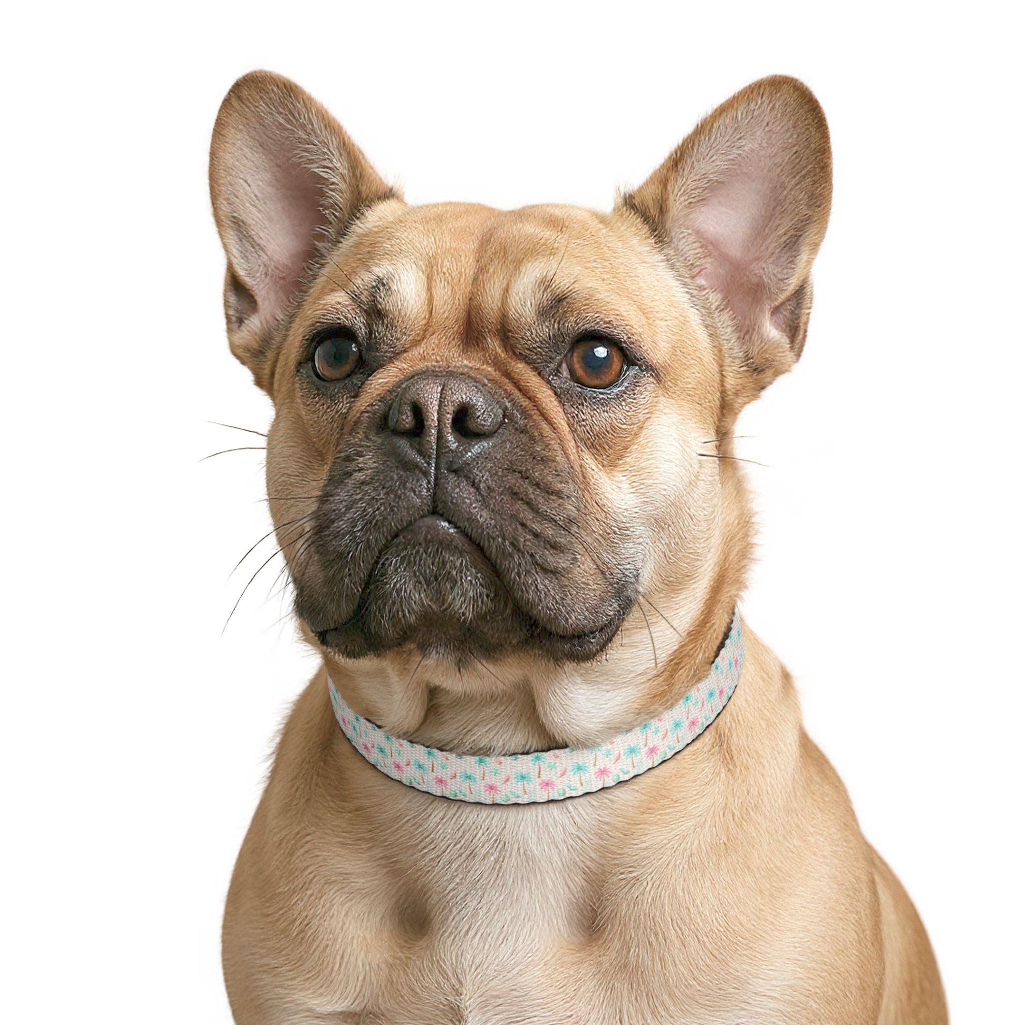 Pastel Palm Tree Pattern Clip-on Pet Collar