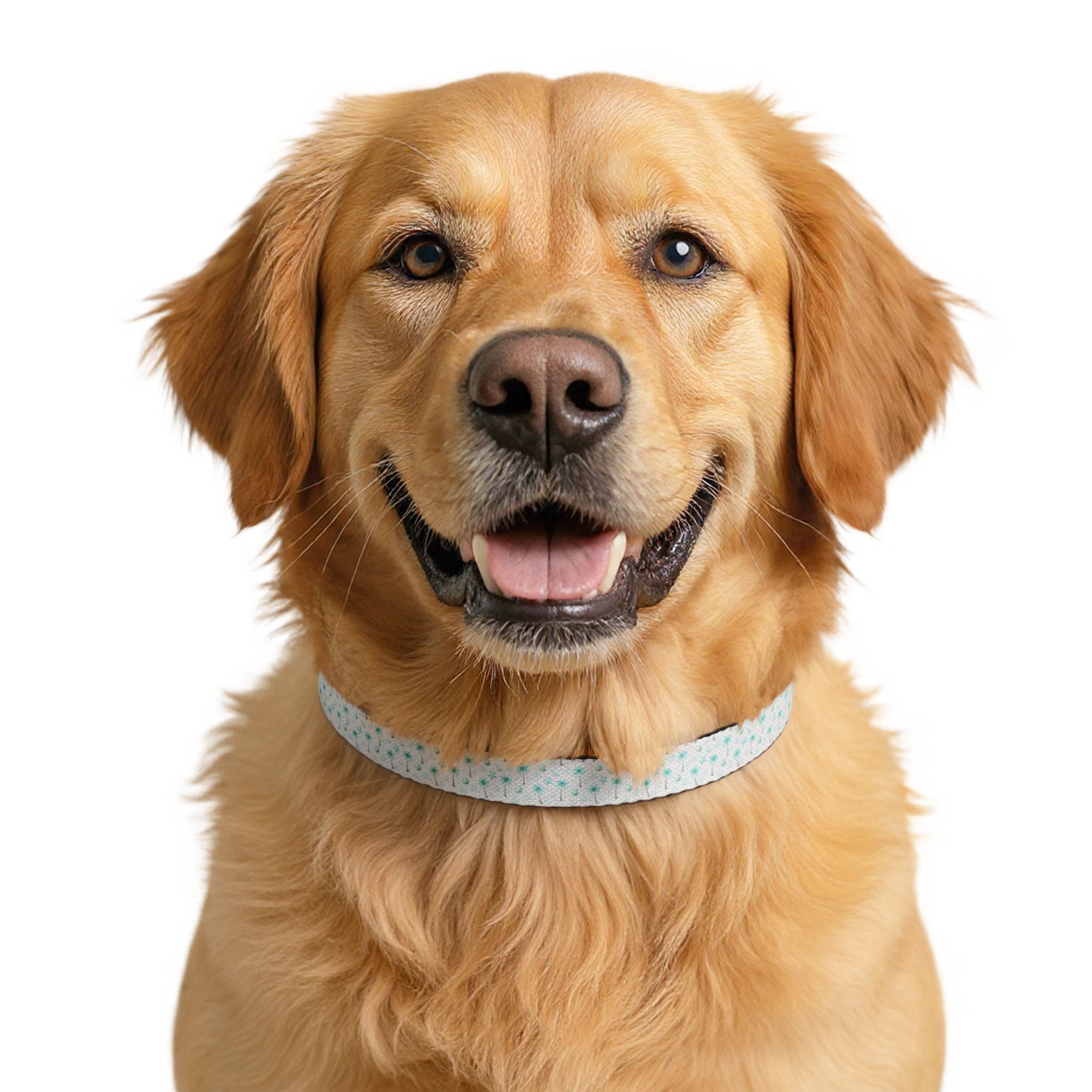 Aqua Palm Tree Clip-on Pet Collar | Adjustable Dog Cat Collar