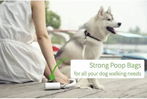 Person holding a leash with Siberian Husky sitting nearby, featuring strong poop bags for dog walking