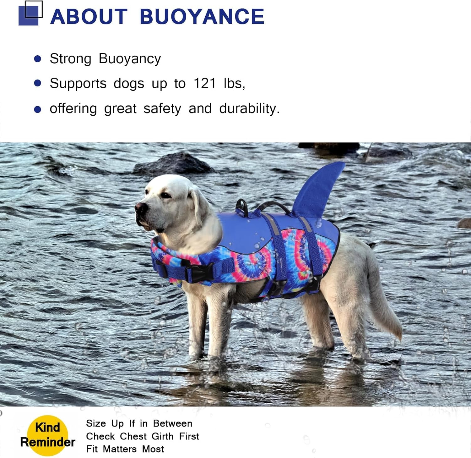 Dog Life Jacket - Pet Safety Vest for Swimming & Boating, Shark Life Jacket with Floatation, Dog Lifesavers  (Blue Bandhnu, XL)