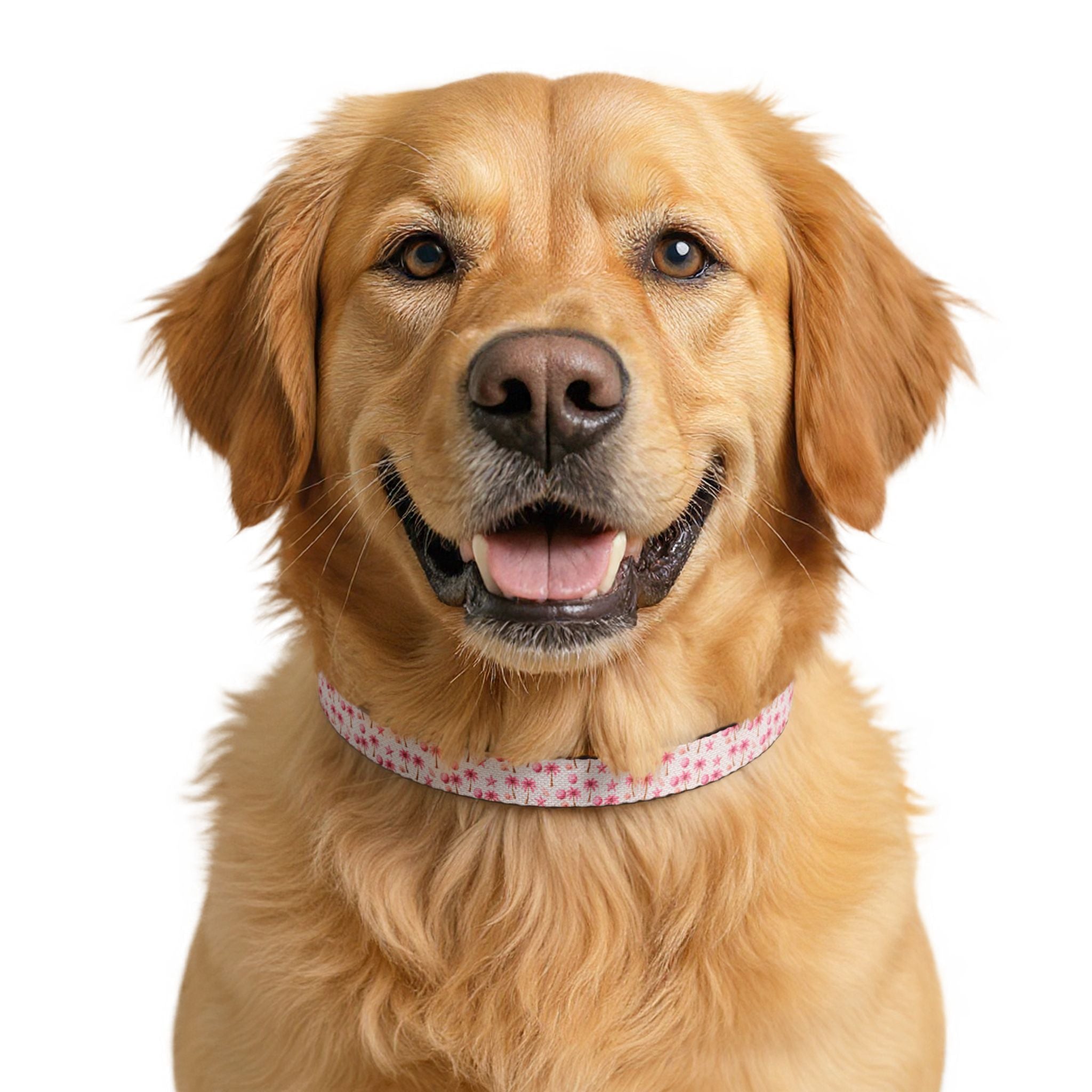 Pink Palm Tree Pattern Clip-on Collar | Pet Collar