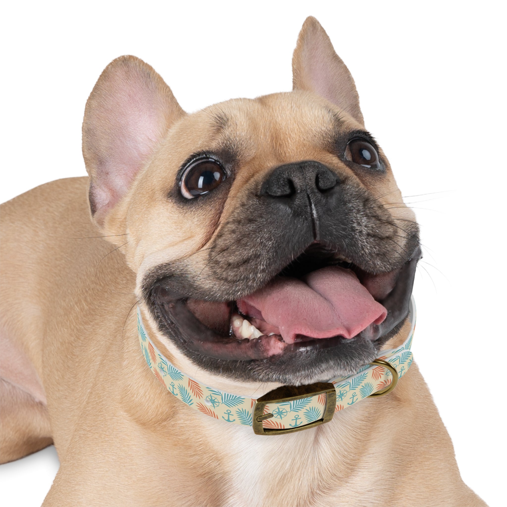 Coastal Breeze Waterproof Dog Collar