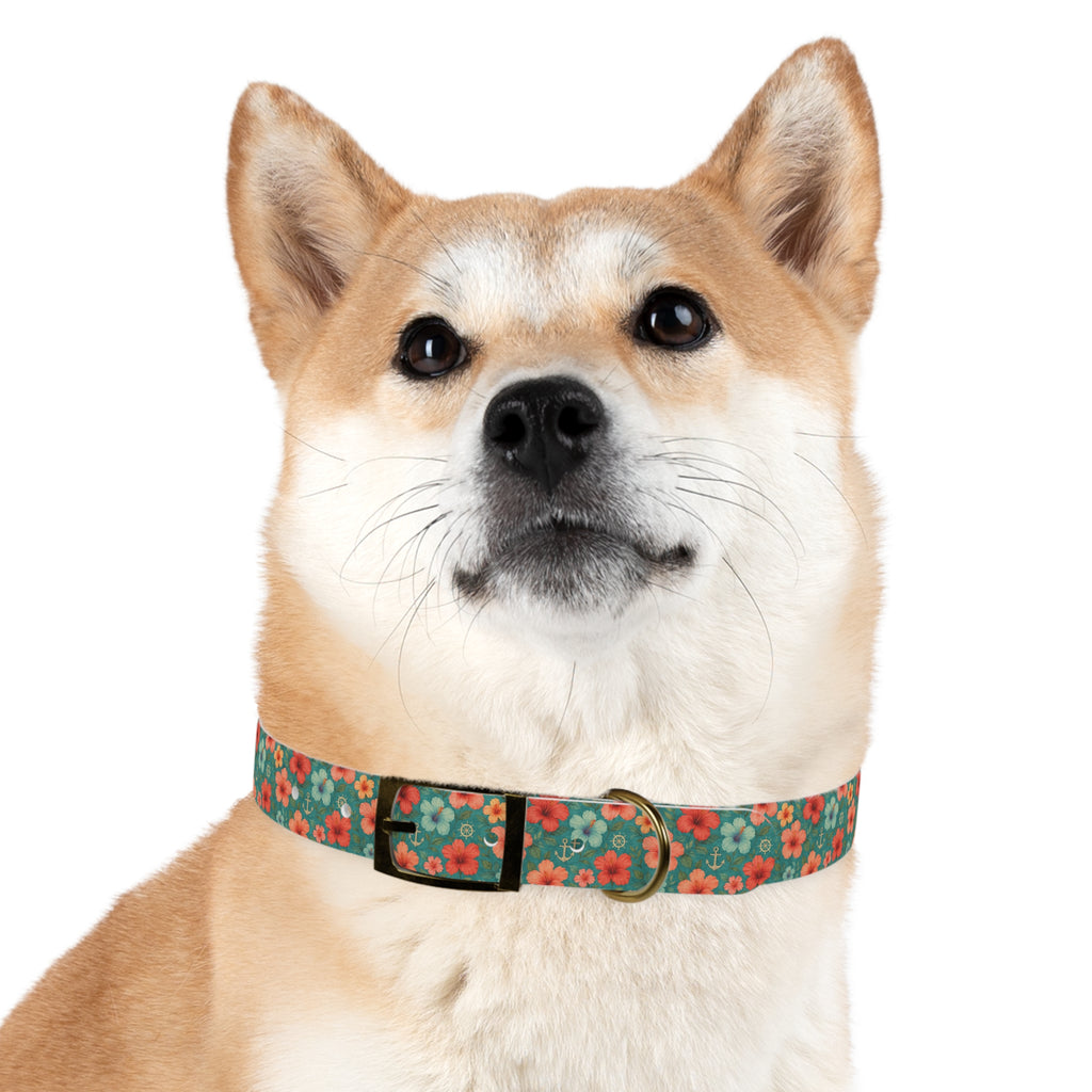 Tropical Hibiscus Pattern Dog Collar | Coral Floral on Teal