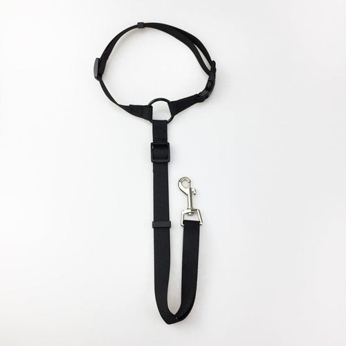 Secureflex Pet Safety Leash - Coastal Paw & Co