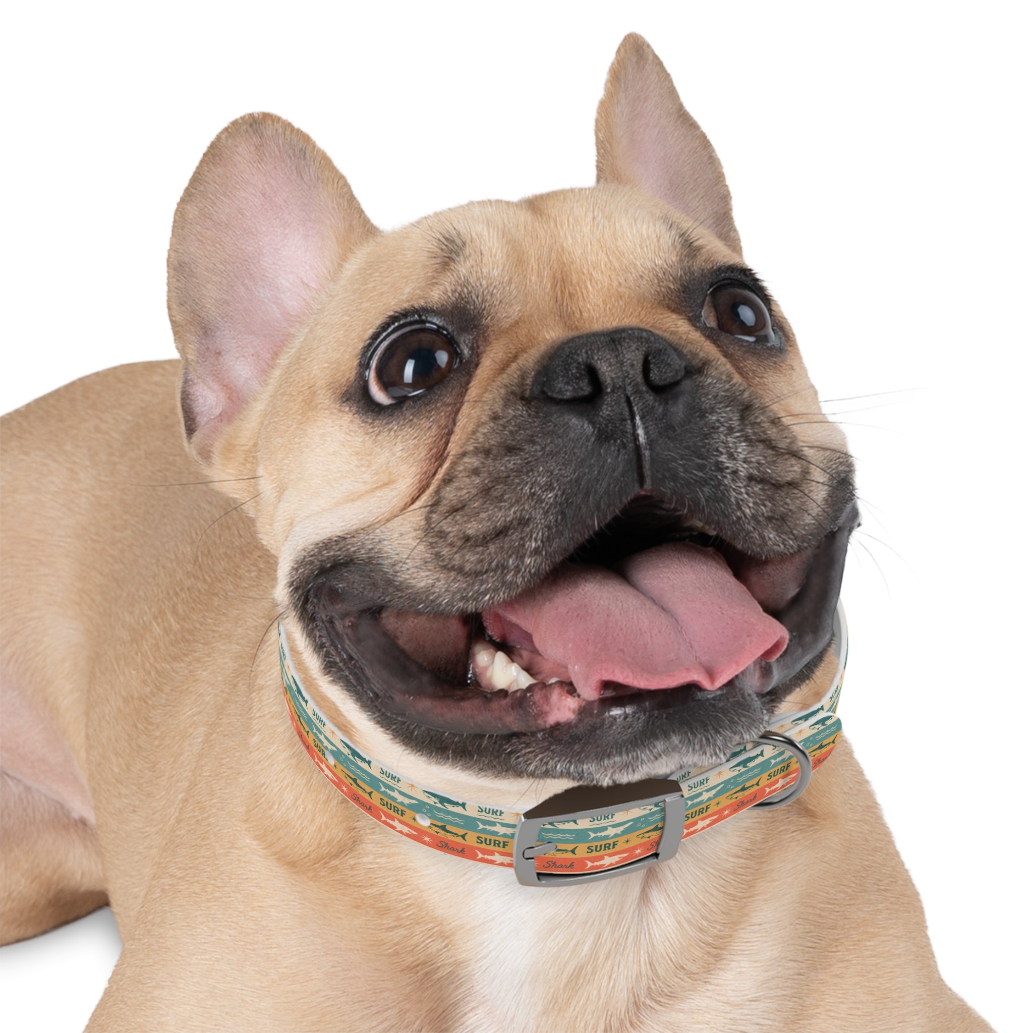 Retro Surf Sharks Dog Collar | Striped Beach Waves Pattern