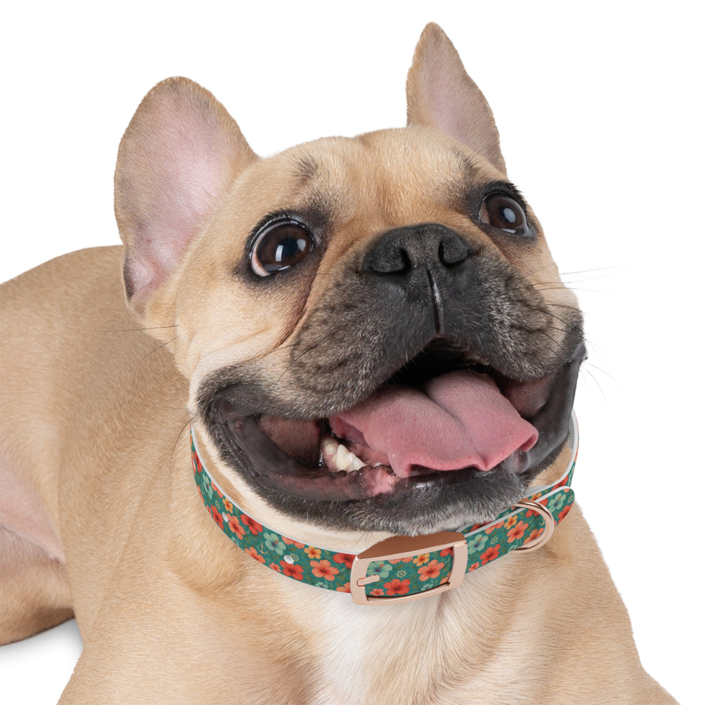 Tropical Hibiscus Pattern Dog Collar | Coral Floral on Teal