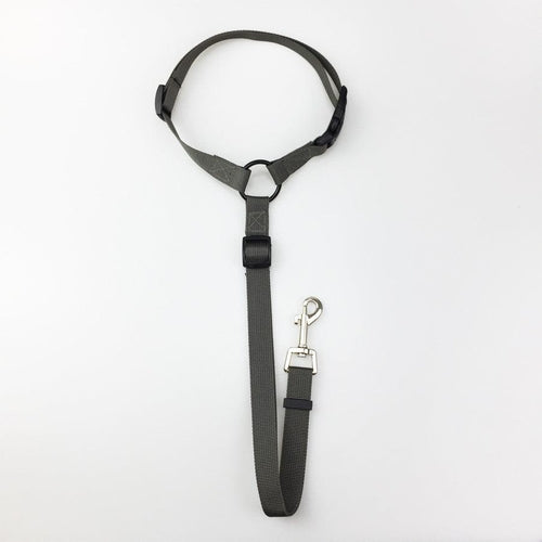 Secureflex Pet Safety Leash - Coastal Paw & Co