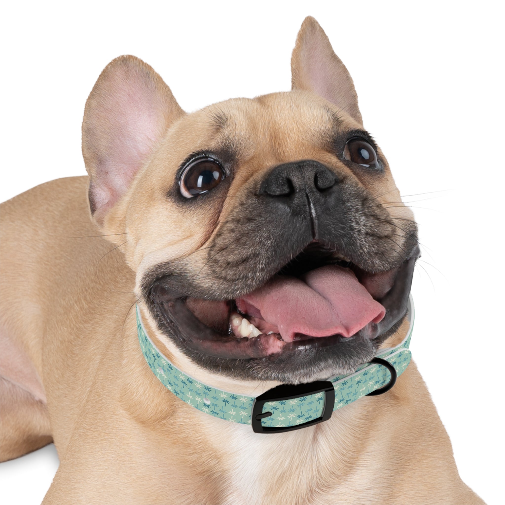 Teal Palm Trees Dog Collar | Tropical Pattern, Teal Palm Print